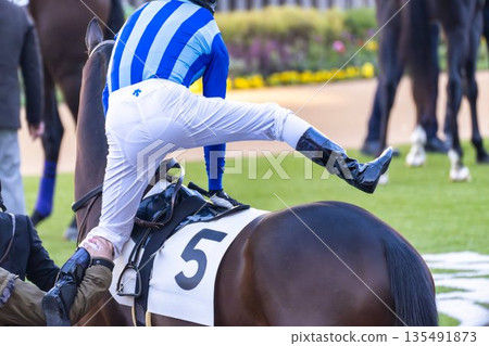 賽馬場景色,圍場,京都市,京都府 賽馬場景色,圍場,京都市,京都府 135491873