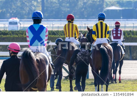 賽馬場景象：馬匹進入主賽馬場，京都府京都市 135491894