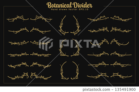 Decorative Gold Botanical Divider Border Hand Drawn Bundle 135491900