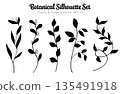 Silhouette Botanical Leaves Set Hand Drawn Botanical Collection. 135491918