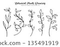 Botanical Plant Drawing Hand Drawn Wild Line Art Collection.Vector Illustration 135491919