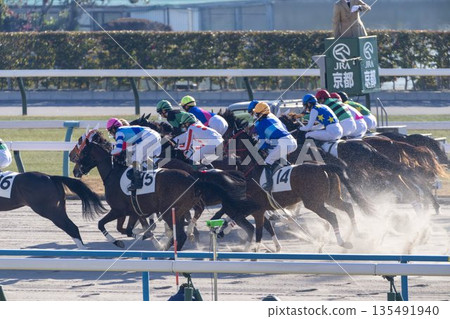 賽馬場景色:駿馬奔跑,京都府京都市 賽馬場景色:駿馬奔跑,京都府京都市 135491940