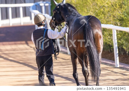 賽馬場景象：賽馬獲勝後，馬匹和馬夫返回馬厩。地點：京都府京都市 135491941