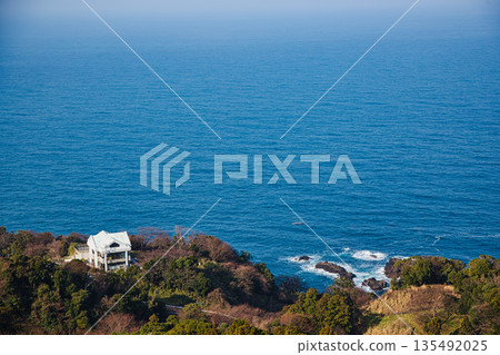 沐浴在晨光中的越前水仙花 135492025