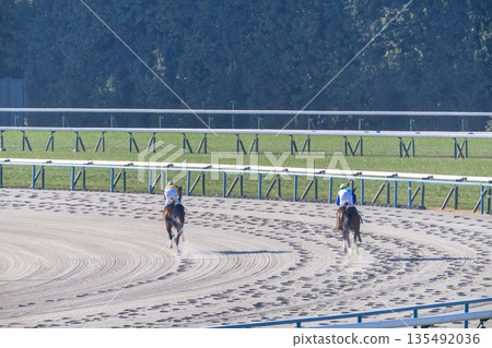 賽馬場景色：馬匹進入賽馬場，京都府京都市 135492036