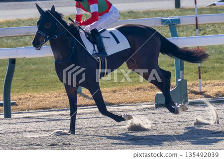 Scenery from the racecourse: Horses entering the racecourse, Kyoto City, Kyoto Prefecture 135492039