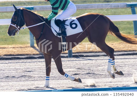 賽馬場景色：馬匹進入賽馬場，京都府京都市 135492040