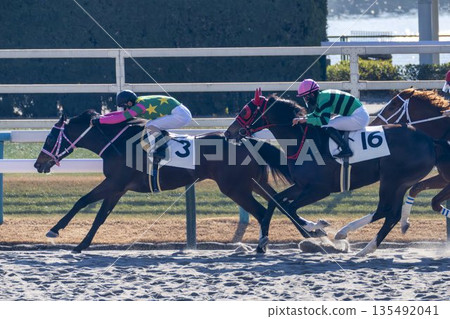 賽馬場景色：駿馬奔跑，京都府京都市 135492041