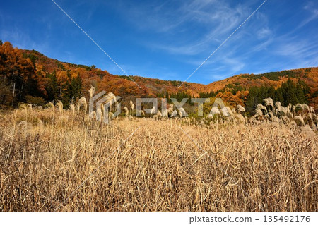 Autumn mountain ranges and grasslands with autumn foliage (Nagano City, Nagano Prefecture) 135492176