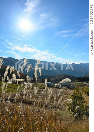 Autumn mountain ranges and grasslands with autumn foliage (Nagano City, Nagano Prefecture) 135492178