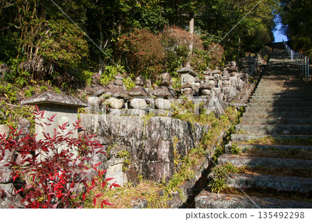 Stone Temple Stone Temple 135492298