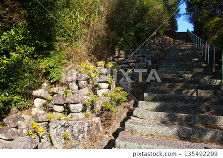 Stone Temple Stone Temple 135492299