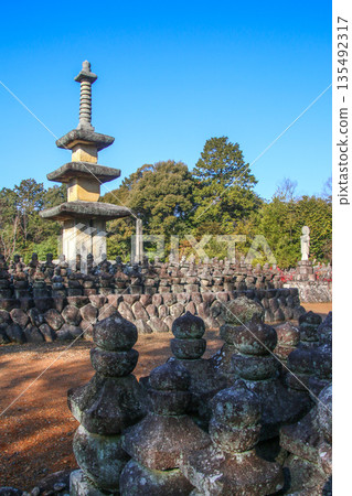 Stone Temple Stone Temple 135492317