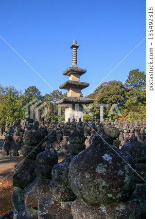 Stone Temple Stone Temple 135492318