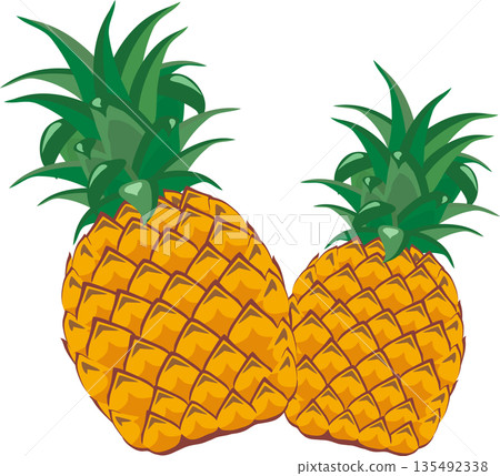 兩個鳳梨 兩個鳳梨 135492338
