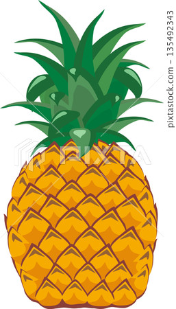 菠蘿 菠蘿 135492343