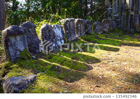 Stone Temple Stone Temple 135492346
