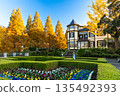 橫濱山手外交官邸、秋季義大利花園、金銀杏樹和藍天 135492393