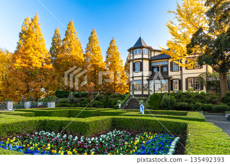 Yokohama Yamate Diplomat's House and Autumn Italian Garden Golden Ginkgo Trees and Blue Sky Yokohama Yamate Diplomat's House and Autumn Italian Garden Golden Ginkgo Trees and Blue Sky 135492393
