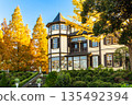 橫濱山手外交官邸、秋季義大利花園、金銀杏樹和藍天 135492394