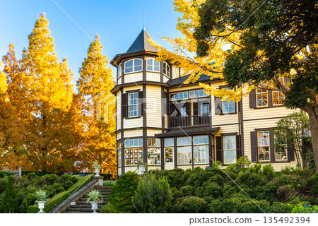 橫濱山手外交官邸、秋季義大利花園、金銀杏樹和藍天 135492394