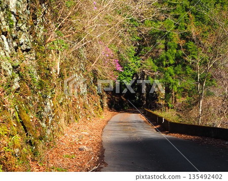 川郡山山道 川郡山山道 135492402