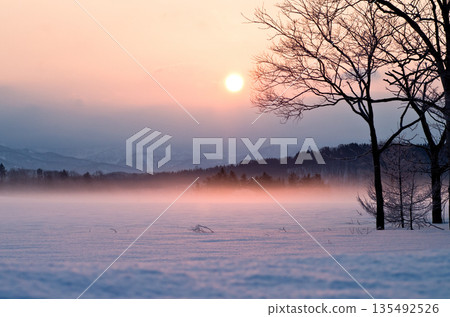 A beautiful scene of a sub-zero dawn and morning mist over the trees and snowy fields 135492526