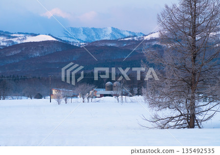 A sub-zero early morning landscape with frost-covered trees and a silo 135492535