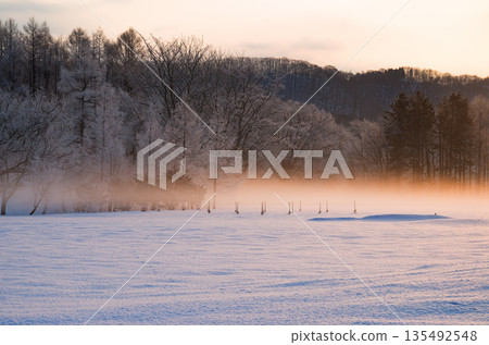 Ice-covered trees and morning mist at dawn in sub-zero temperatures Ice-covered trees and morning mist at dawn in sub-zero temperatures 135492548