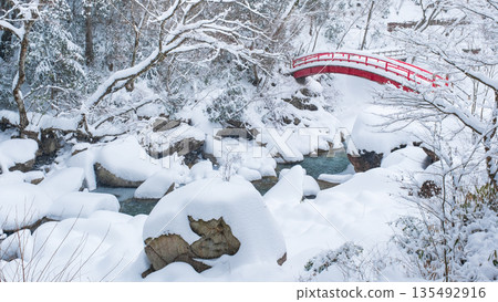 湯森谷（冬季）：紅葉橋 135492916