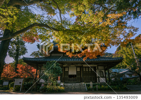 Kakuenji Temple surrounded by autumn leaves, Nagato, Shimonoseki City, Yamaguchi Prefecture Kakuenji Temple surrounded by autumn leaves, Nagato, Shimonoseki City, Yamaguchi Prefecture 135493009