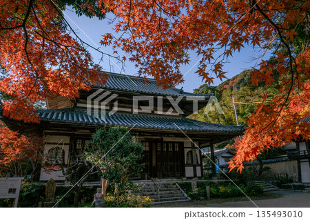 Kakuenji Temple surrounded by autumn leaves, Nagato, Shimonoseki City, Yamaguchi Prefecture Kakuenji Temple surrounded by autumn leaves, Nagato, Shimonoseki City, Yamaguchi Prefecture 135493010