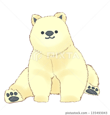 北極熊 135493043