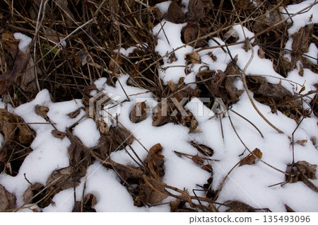 枯草上的積雪 135493096
