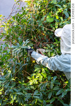 花園維護園丁 135493158