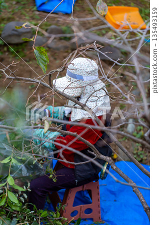 花園維護園丁 花園維護園丁 135493159