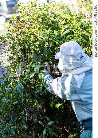 Garden maintenance gardener 135493160