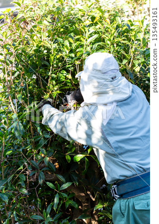 Garden maintenance gardener Garden maintenance gardener 135493161