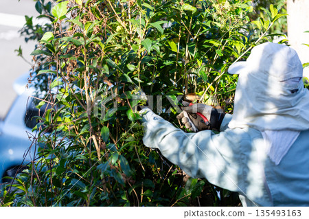 Garden maintenance gardener Garden maintenance gardener 135493163