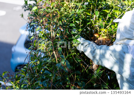 Garden maintenance gardener Garden maintenance gardener 135493164
