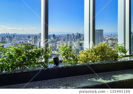 東京港區高輪門戶城新人高輪28樓觀景台，綠之庭（Midori no Niwa） 135493189