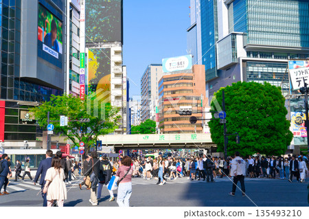 【東京】五月澀谷車站前的翠綠景色 135493210