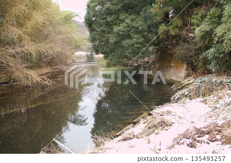 河岸邊的竹子和樹木 河岸邊的竹子和樹木 135493257