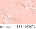 background with cherry flowers 135493971