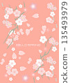 spring greeting card with cherry blossom 135493979