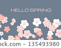 spring background with pink flowers 135493980