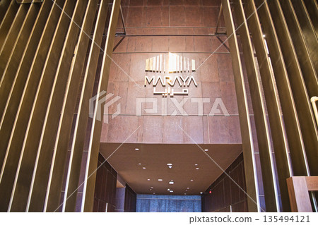 The interior of the Maraya Concert Hall, a strange mirrored structure 135494121