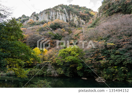 島根縣出雲市,塔奇庫埃峽谷,秋葉掩映下的岩壁巍峨聳立。 島根縣出雲市,塔奇庫埃峽谷,秋葉掩映下的岩壁巍峨聳立。 135494152