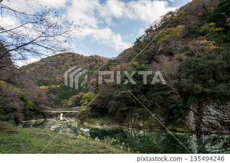 Tachikue Gorge, where the rock walls of autumn leaves stand tall, Izumo City, Shimane Prefecture Tachikue Gorge, where the rock walls of autumn leaves stand tall, Izumo City, Shimane Prefecture 135494246