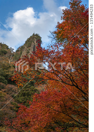 島根縣出雲市，塔奇庫埃峽谷，秋葉掩映下的岩壁巍峨聳立。 135494283
